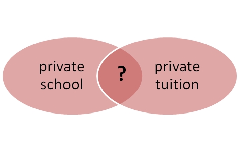 private school private tuition1